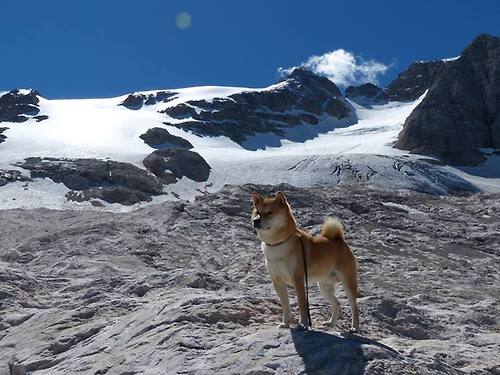 _年度收官战:高手云集,谁能问鼎终极冠军_,2020收官之战2021