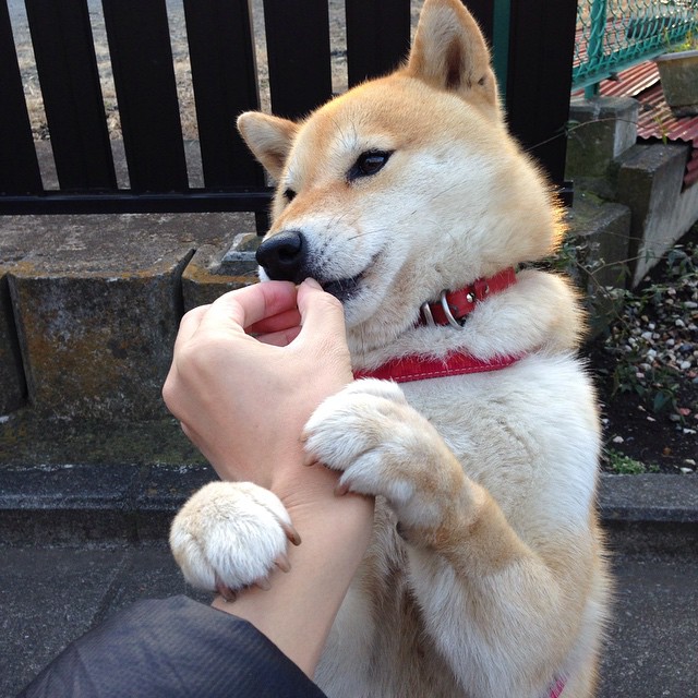 “中超豪门为新赛季蓄势待发,豪华阵容引人期待”,中超传统豪门排名