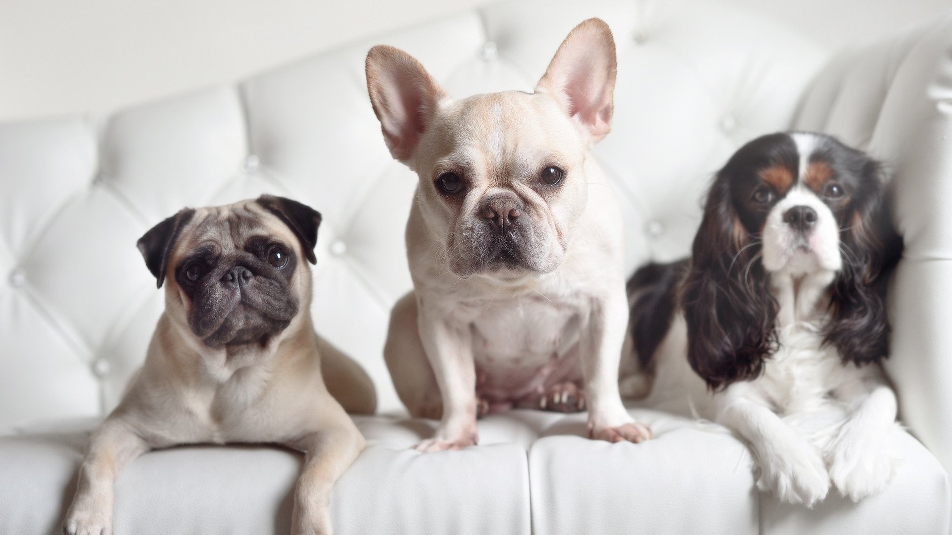 九游体育app-“攻防对决：顶级战术的激烈较量”，攻防什么