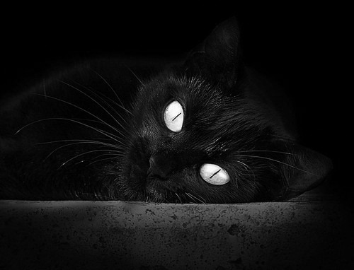 九游体育app下载-“法甲比赛精彩纷呈，豪门争夺激烈升温”，法甲 经典比赛