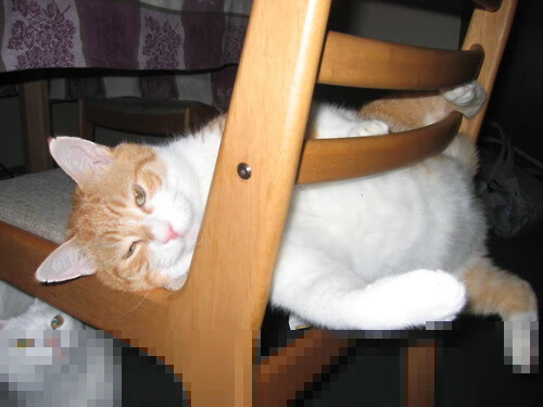 《虚拟偶像造未来:电竞与虚拟明星的跨界合作》,虚拟偶像又叫什么