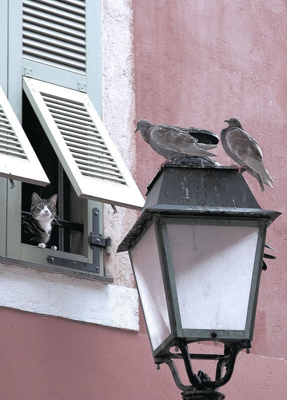 九游体育官网-史上最具创新精神的战术设计，带你走进未来足球，足球战术发展现状及方向