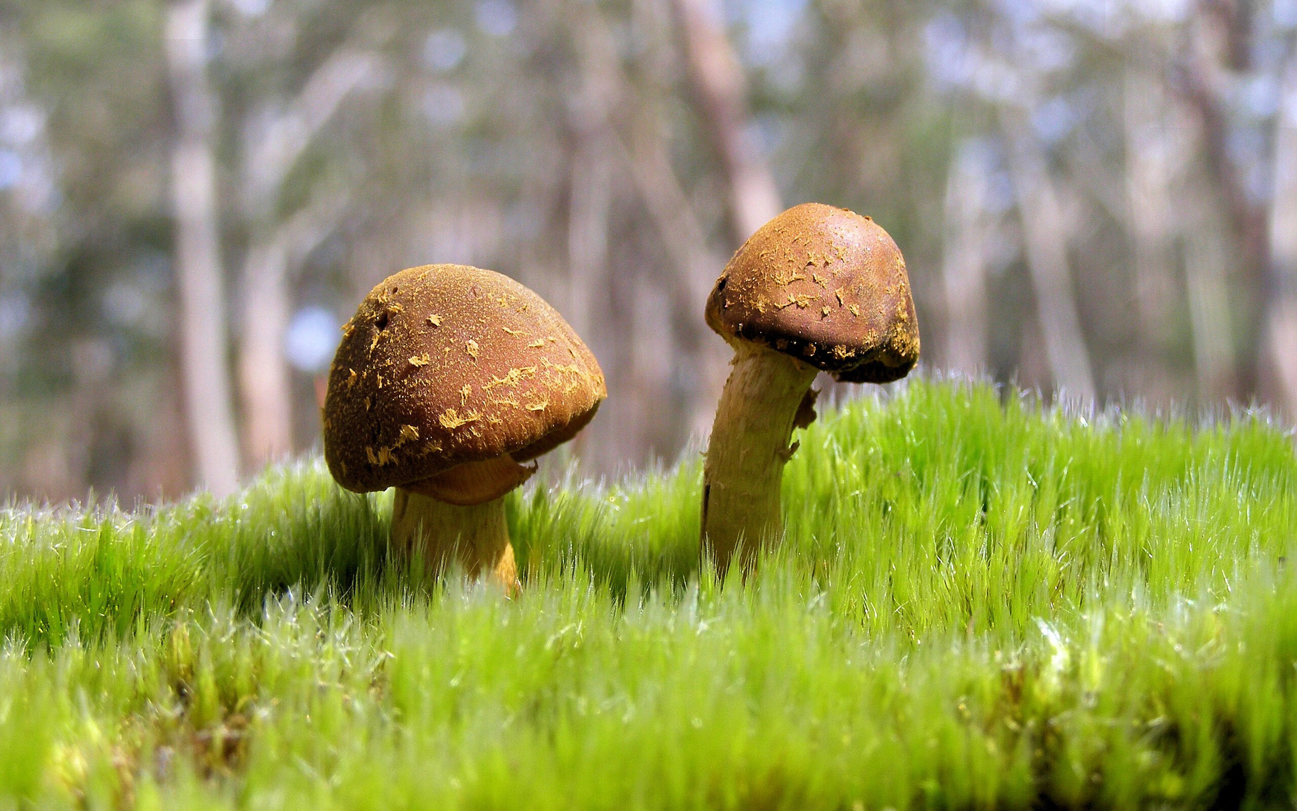 史上最具创新精神的战术设计，带你走进未来足球，足球战术发展现状及方向