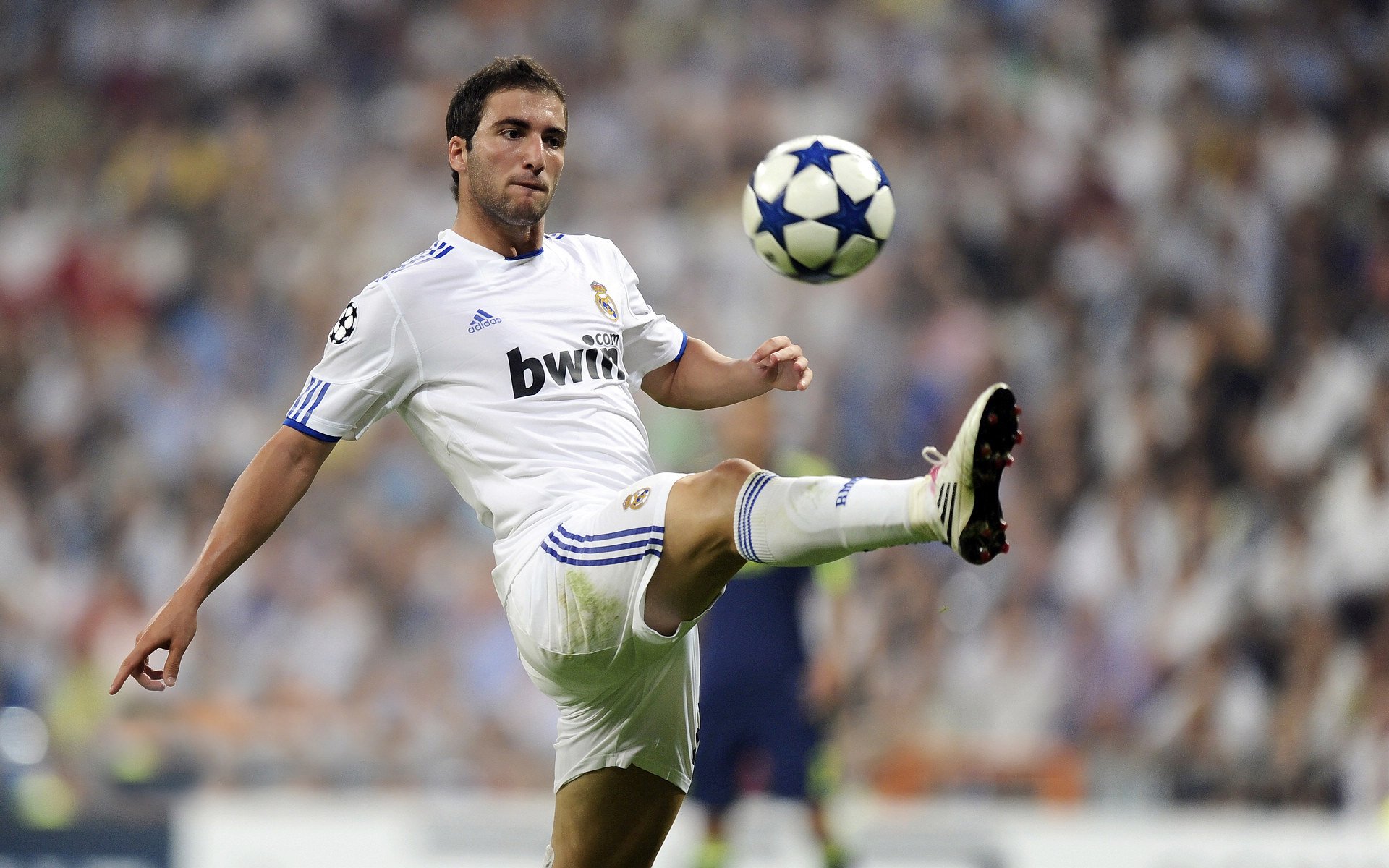 9体育-“萨尔·巴赫在南非队的角色转变：从替补到主力”