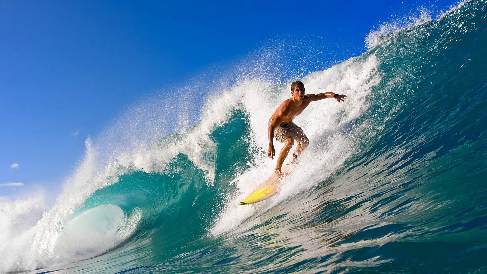 “萨尔·巴赫在南非队的角色转变:从替补到主力”