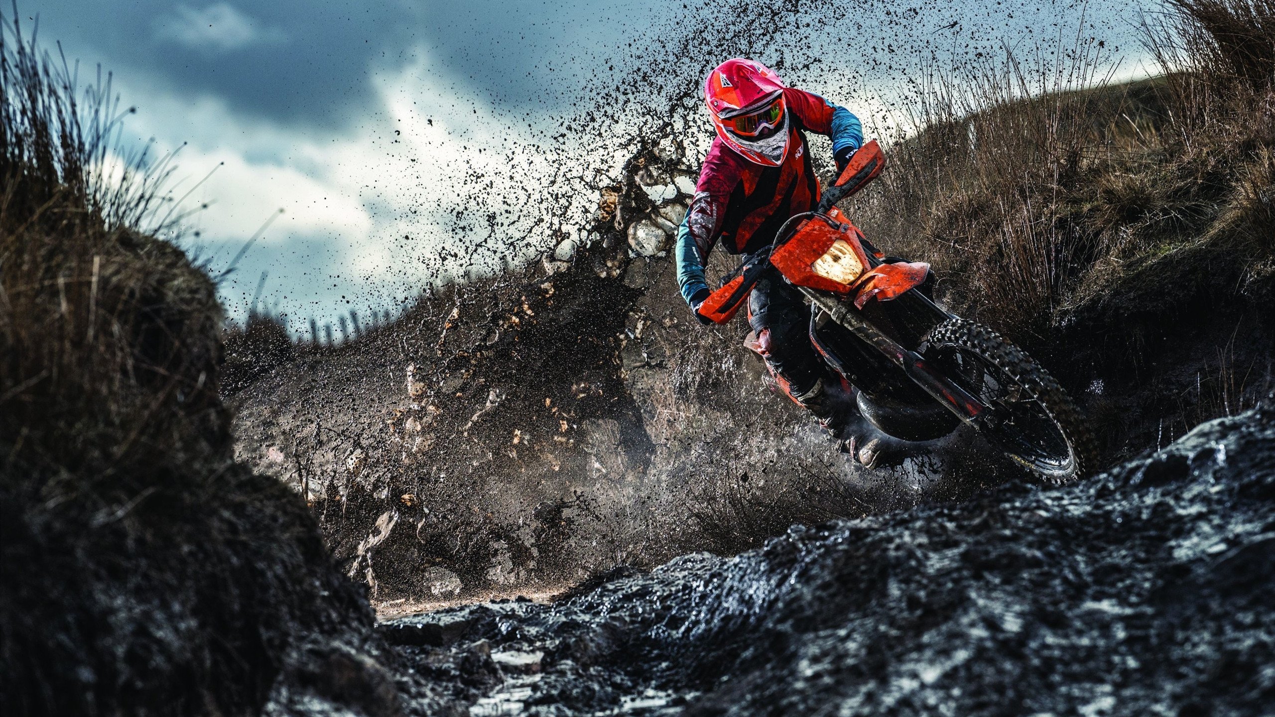 九游体育-布克赛后称胜利属于全队不是个人，布克总决赛场均得分